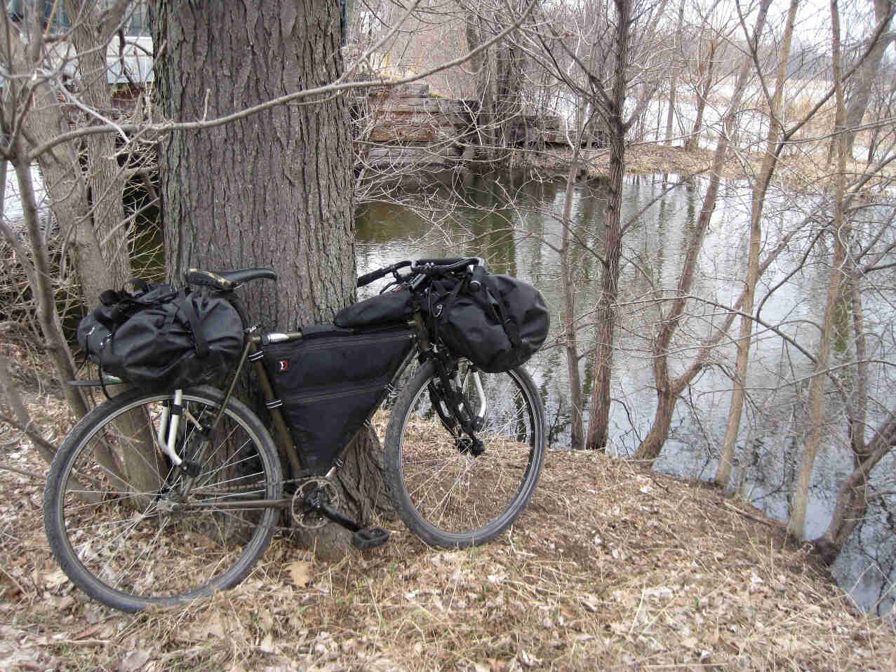 Right side view of a Surly Travelers Check bike with gear, leaning against a tree, on a bank and facing a pond